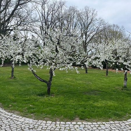 "Wisniowy Sad"Agroturystyka Iława Exterior foto