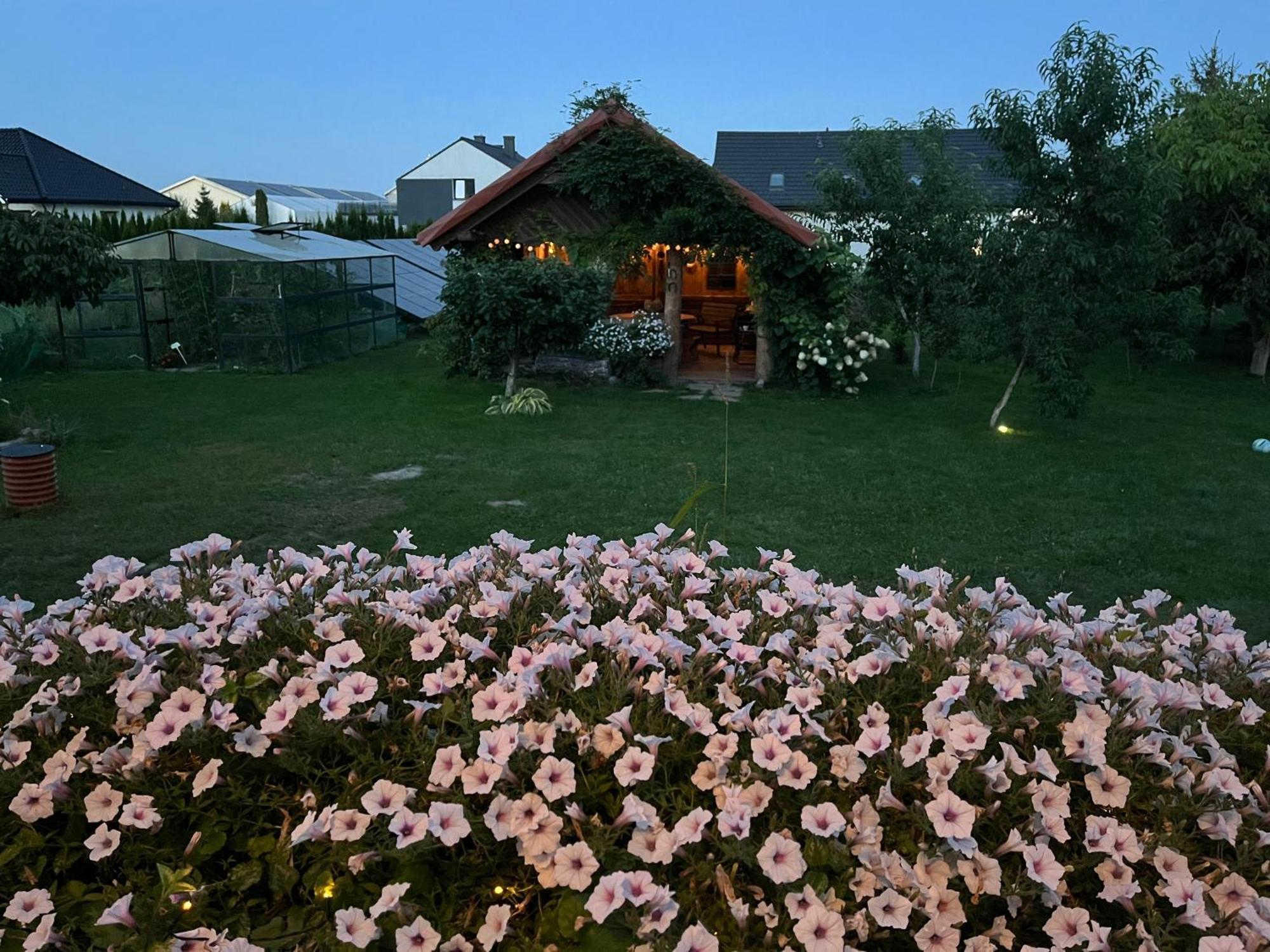 "Wisniowy Sad"Agroturystyka Iława Exterior foto